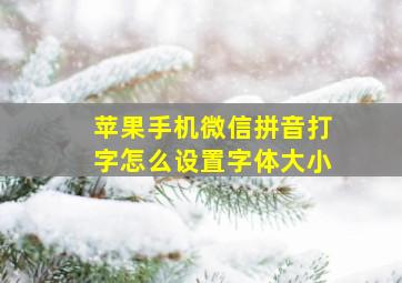 苹果手机微信拼音打字怎么设置字体大小