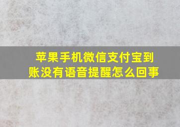 苹果手机微信支付宝到账没有语音提醒怎么回事