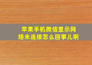 苹果手机微信显示网络未连接怎么回事儿啊