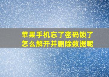 苹果手机忘了密码锁了怎么解开并删除数据呢