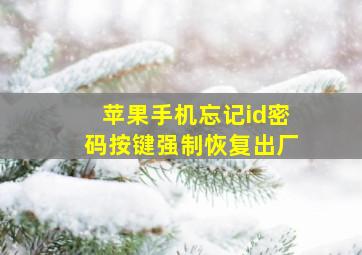 苹果手机忘记id密码按键强制恢复出厂