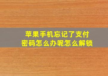 苹果手机忘记了支付密码怎么办呢怎么解锁