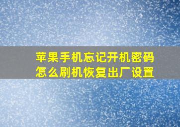 苹果手机忘记开机密码怎么刷机恢复出厂设置