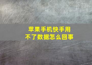 苹果手机快手用不了数据怎么回事