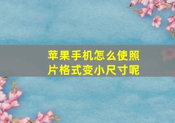 苹果手机怎么使照片格式变小尺寸呢