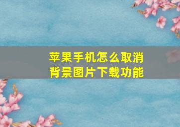 苹果手机怎么取消背景图片下载功能