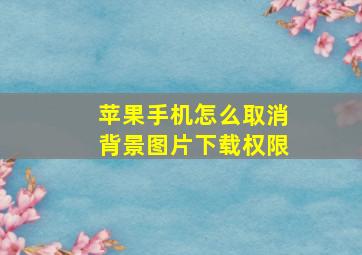 苹果手机怎么取消背景图片下载权限