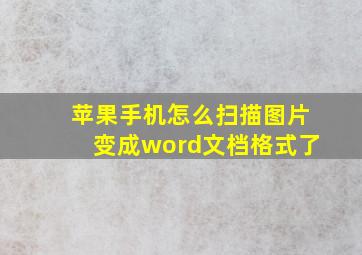 苹果手机怎么扫描图片变成word文档格式了