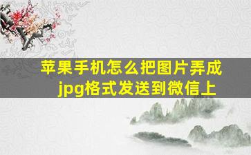 苹果手机怎么把图片弄成jpg格式发送到微信上