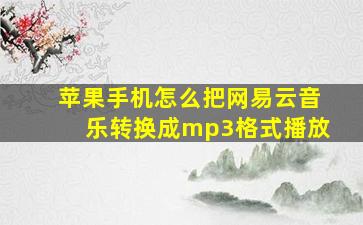 苹果手机怎么把网易云音乐转换成mp3格式播放