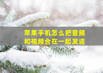 苹果手机怎么把音频和视频合在一起发送