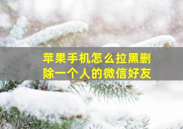 苹果手机怎么拉黑删除一个人的微信好友