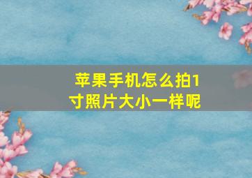 苹果手机怎么拍1寸照片大小一样呢