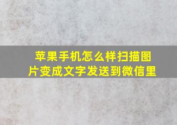 苹果手机怎么样扫描图片变成文字发送到微信里