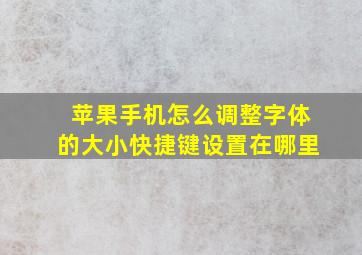 苹果手机怎么调整字体的大小快捷键设置在哪里