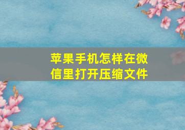 苹果手机怎样在微信里打开压缩文件