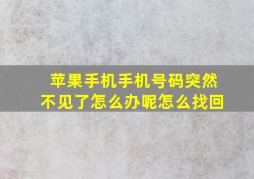 苹果手机手机号码突然不见了怎么办呢怎么找回