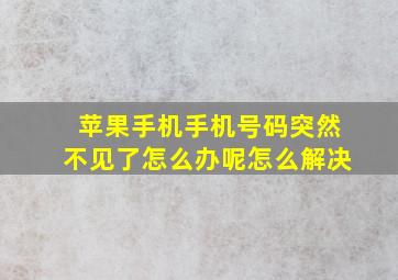 苹果手机手机号码突然不见了怎么办呢怎么解决