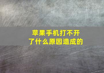 苹果手机打不开了什么原因造成的