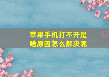 苹果手机打不开是啥原因怎么解决呢