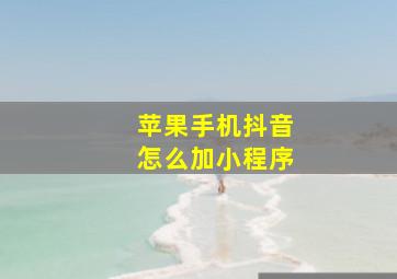 苹果手机抖音怎么加小程序