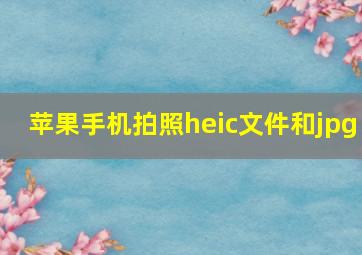 苹果手机拍照heic文件和jpg