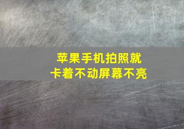 苹果手机拍照就卡着不动屏幕不亮