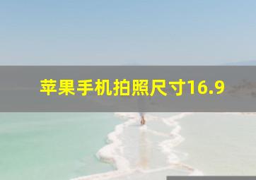 苹果手机拍照尺寸16.9