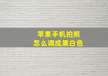 苹果手机拍照怎么调成黑白色