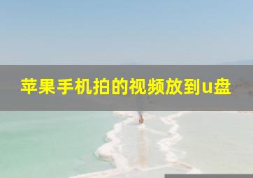 苹果手机拍的视频放到u盘