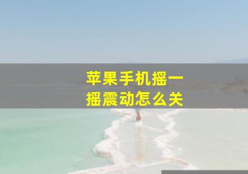 苹果手机摇一摇震动怎么关