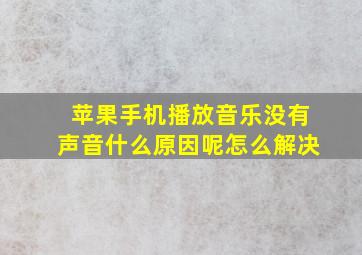 苹果手机播放音乐没有声音什么原因呢怎么解决