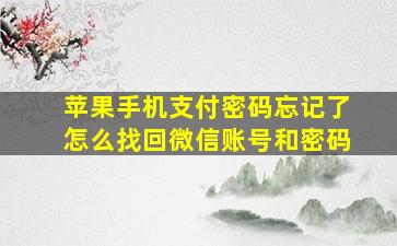 苹果手机支付密码忘记了怎么找回微信账号和密码