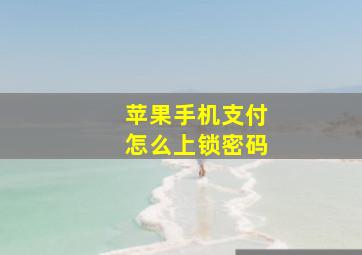 苹果手机支付怎么上锁密码