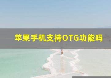 苹果手机支持OTG功能吗