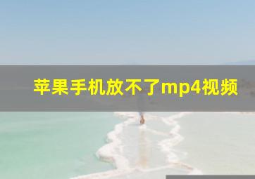 苹果手机放不了mp4视频