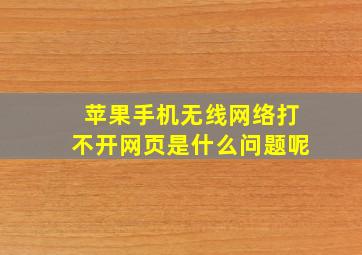 苹果手机无线网络打不开网页是什么问题呢