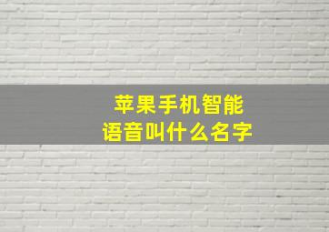 苹果手机智能语音叫什么名字