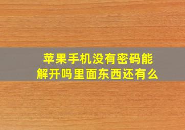 苹果手机没有密码能解开吗里面东西还有么