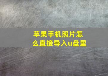 苹果手机照片怎么直接导入u盘里