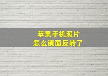 苹果手机照片怎么镜面反转了