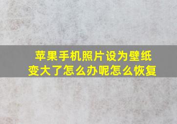 苹果手机照片设为壁纸变大了怎么办呢怎么恢复