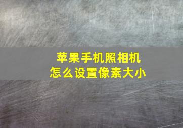 苹果手机照相机怎么设置像素大小