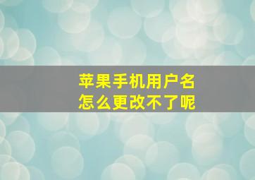 苹果手机用户名怎么更改不了呢