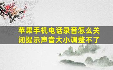 苹果手机电话录音怎么关闭提示声音大小调整不了