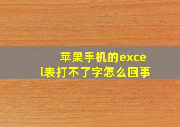 苹果手机的excel表打不了字怎么回事