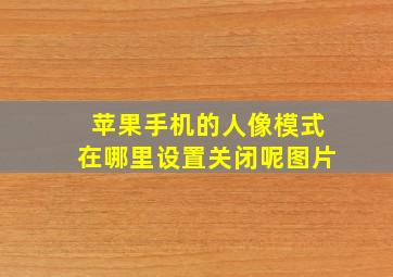 苹果手机的人像模式在哪里设置关闭呢图片