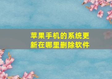 苹果手机的系统更新在哪里删除软件