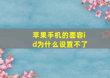 苹果手机的面容id为什么设置不了