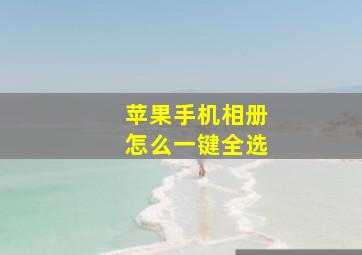 苹果手机相册怎么一键全选